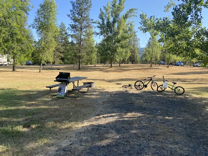 Dworshak Reservoir Grandad Campground Picture 10