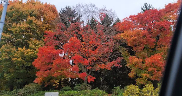 Canaan Community Picture 5
