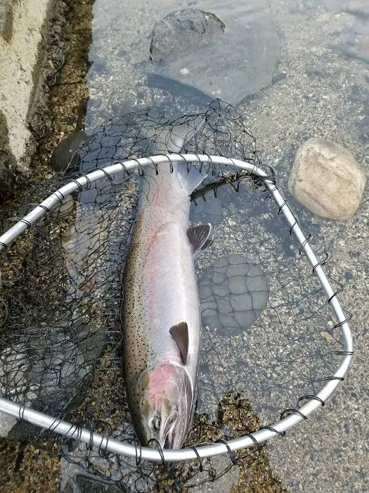 US Army Corps of Engineers Picture 8