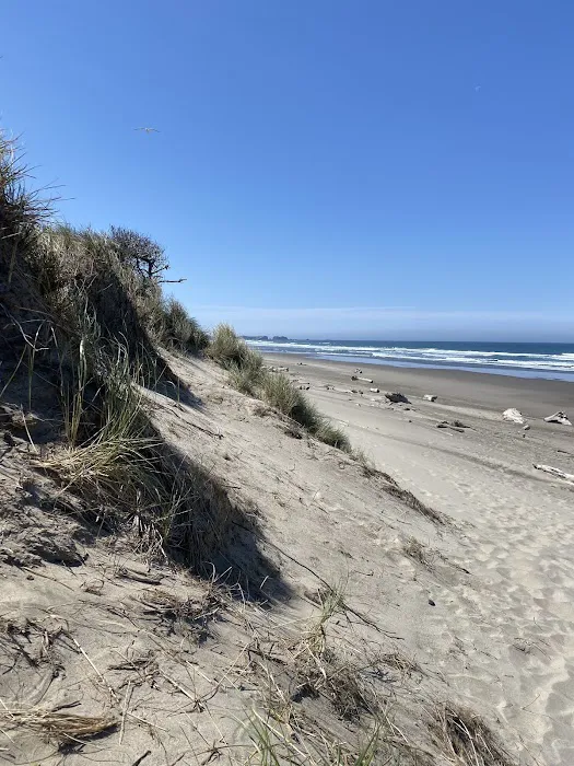 Bullards Beach State Park Campground Picture 5