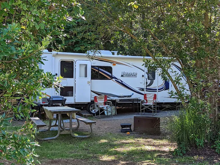 Bullards Beach State Park Campground Picture 2