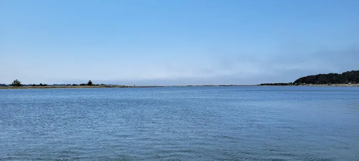 Bullards Beach State Park Campground Picture 3