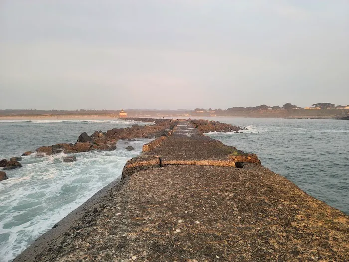 Bullards Beach State Park Campground Picture 7