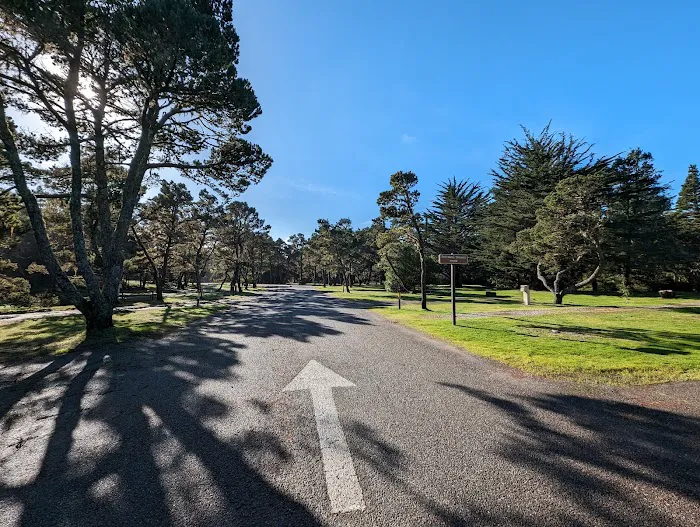 Bullards Beach State Park Campground Picture 10