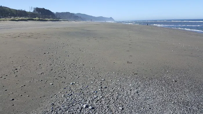 Coquille River RV Park Picture 8