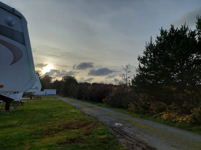 Bandon By the Sea RV Park Picture 3