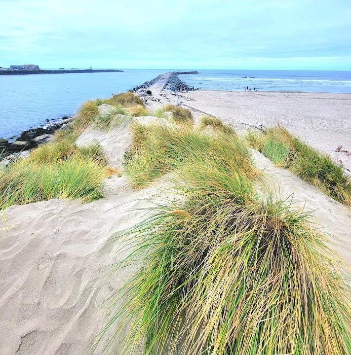 Bandon By the Sea RV Park Picture 1