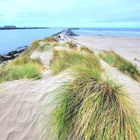 Bandon By the Sea RV Park ico