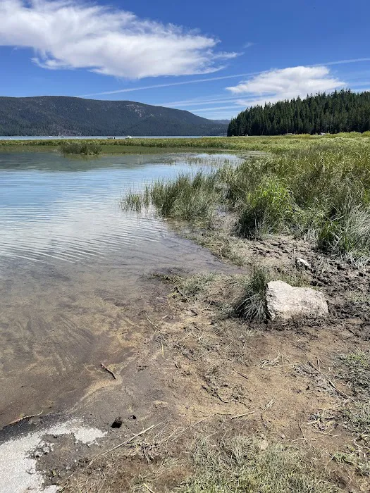 Paulina Lake Campground Picture 9