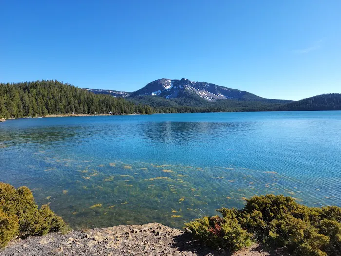 Paulina Lake Campground Picture 2