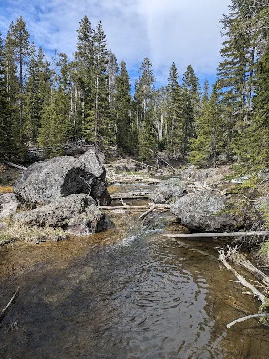 Paulina Lake Campground Picture 8