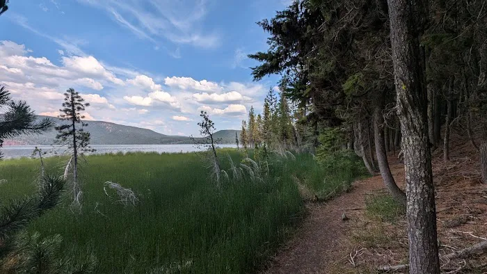 Paulina Lake Campground Picture 1