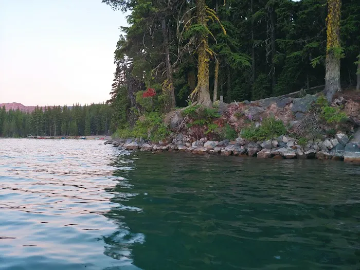 Newberry Group Camp Site Picture 5