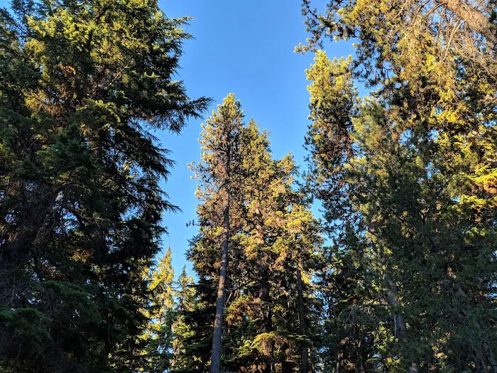 Chief Paulina Trailhead Picture 1