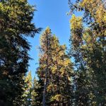 Chief Paulina Trailhead