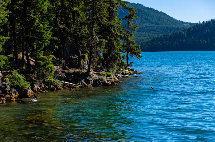 Little Crater Campground Picture 7