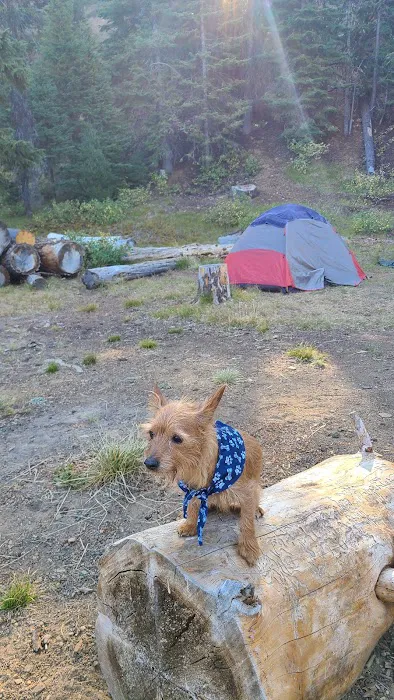 Little Crater Campground Picture 3