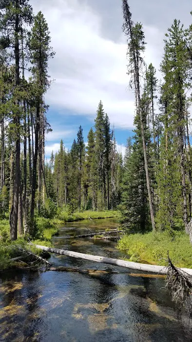 Diamond Lake Campground Picture 6