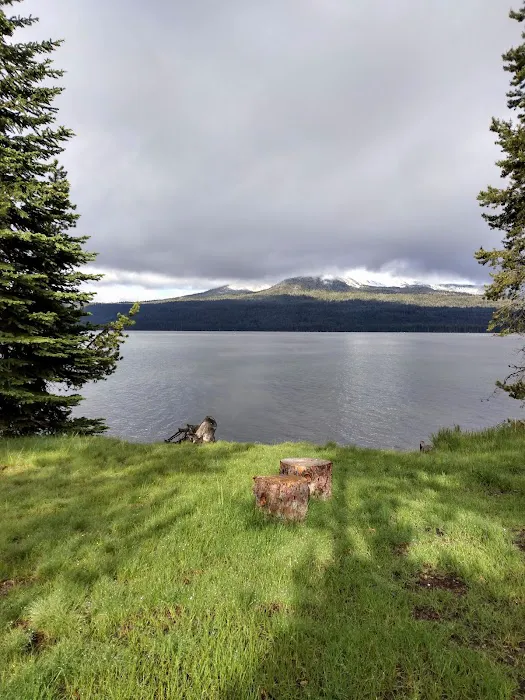 Diamond Lake Campground Picture 3