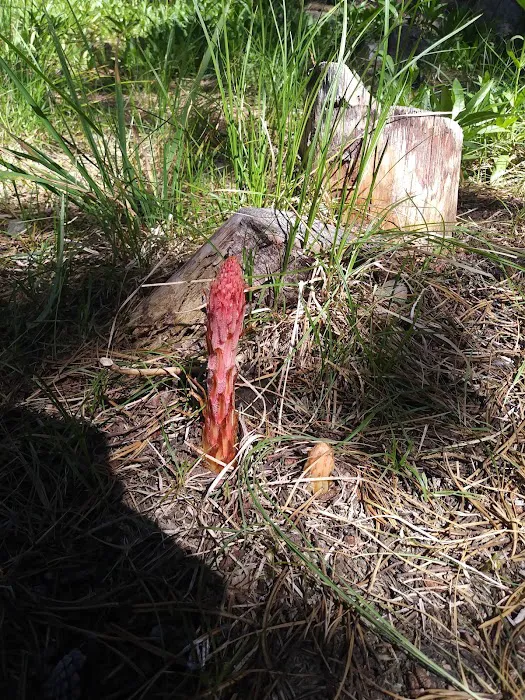 South Shore Pavilion Picture 4