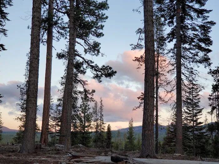 Broken Arrow Campground Picture 4