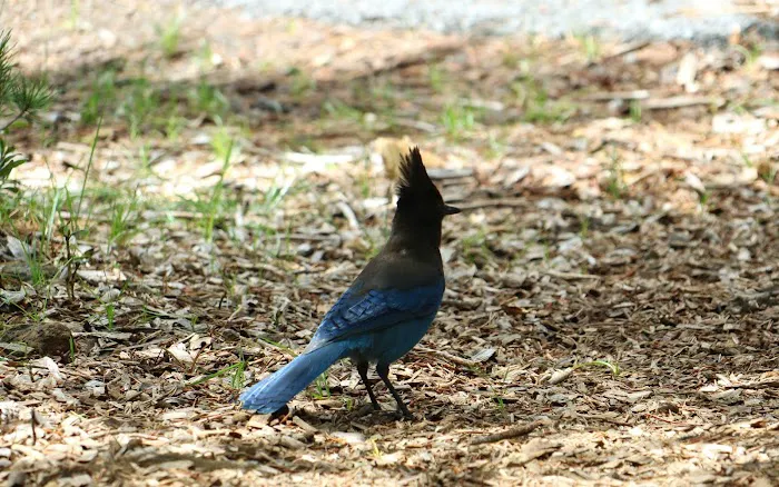 Broken Arrow Campground Picture 1