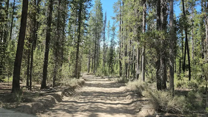 Digit Point Campground Picture 8