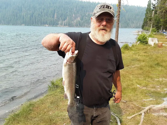 Digit Point Campground Picture 1