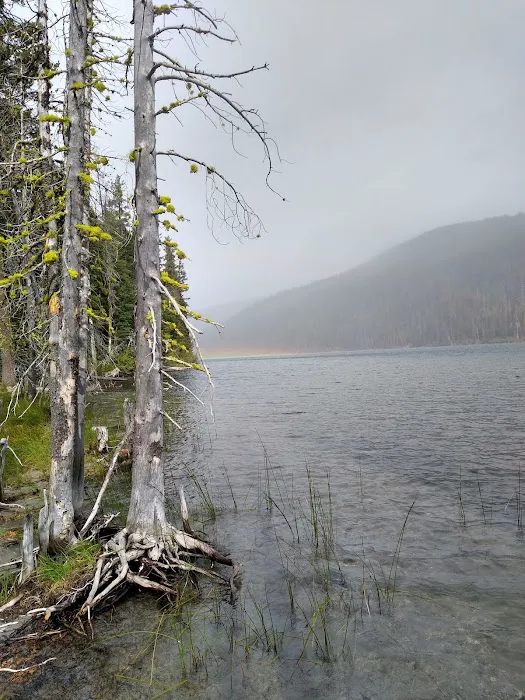 Digit Point Campground Picture 9