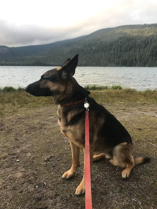 Digit Point Campground Picture 6