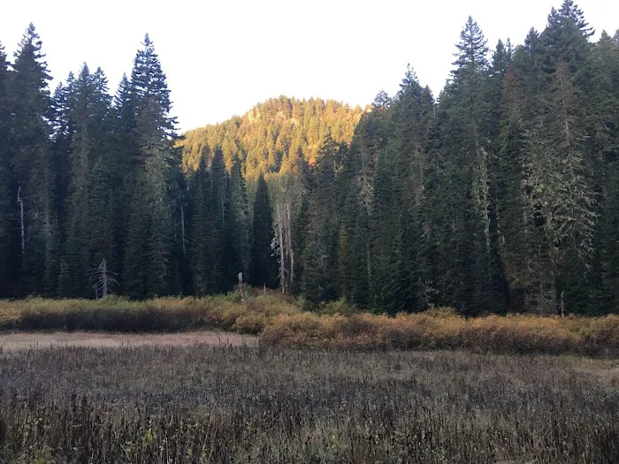 Hemlock Lake Campground Picture 8