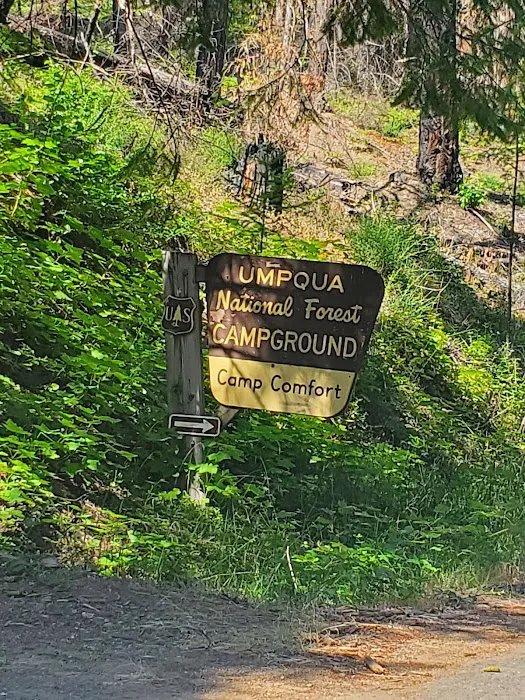 Camp Comfort Picture 1