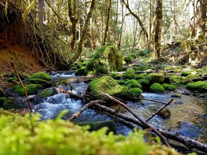 Boulder Creek Campground Picture 5