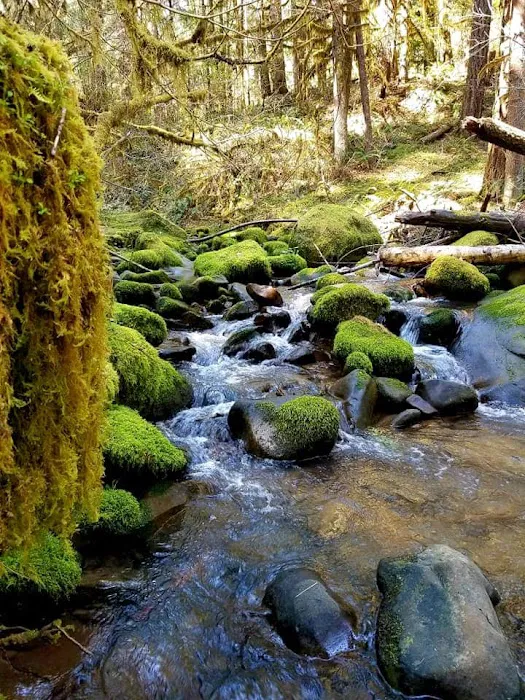 Boulder Creek Campground Picture 3