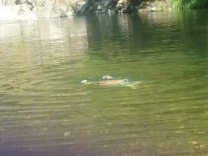 Dumont Creek Campground Picture 1