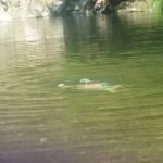 Dumont Creek Campground