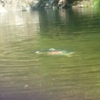 Dumont Creek Campground ico