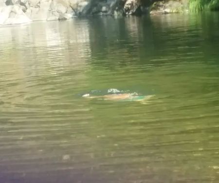 Dumont Creek Campground