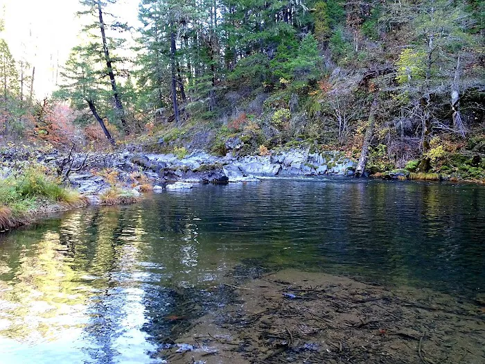 Dumont Creek Campground Picture 6