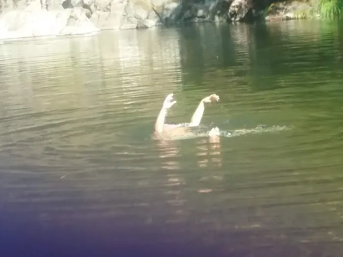 Dumont Creek Campground Picture 4