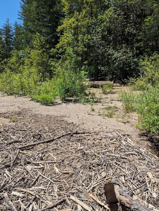 Dumont Creek Campground Picture 7