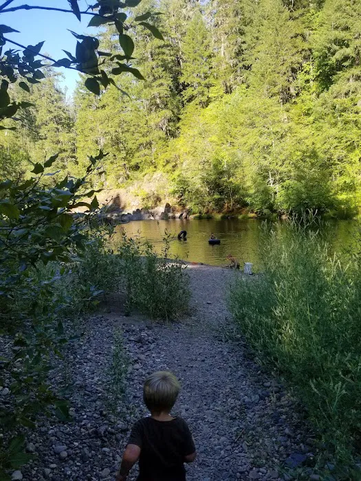 Dumont Creek Campground Picture 8