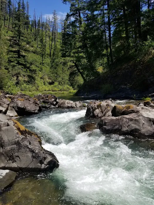 Dumont Creek Campground Picture 10