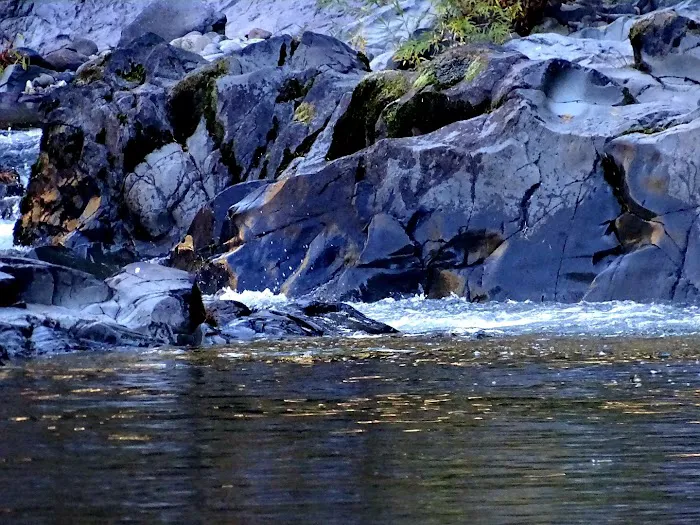 Dumont Creek Campground Picture 5