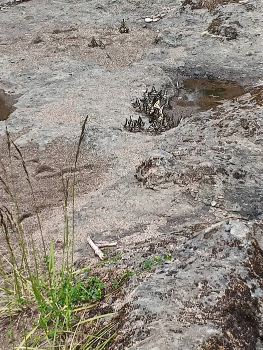 Three C Rock Campground Picture 1