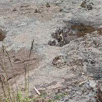 Three C Rock Campground ico