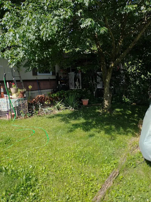 Caravan Village MHP Picture 1