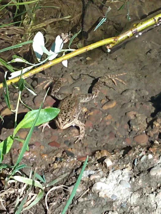 Rocky Gorge Campground Picture 5