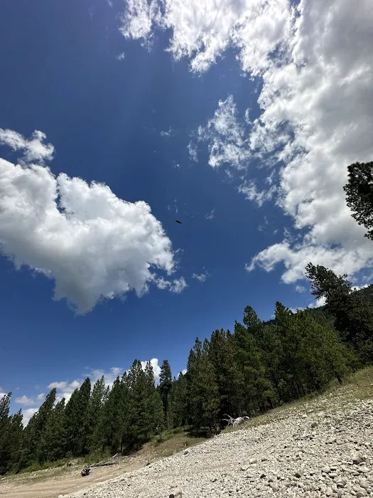 Rocky Gorge Campground Picture 3