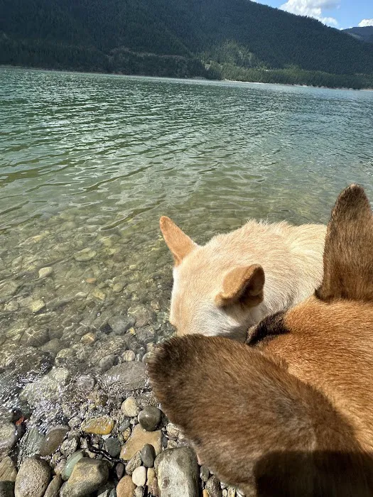 Rocky Gorge Campground Picture 8